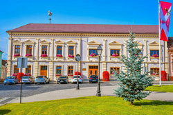 imagine primăria